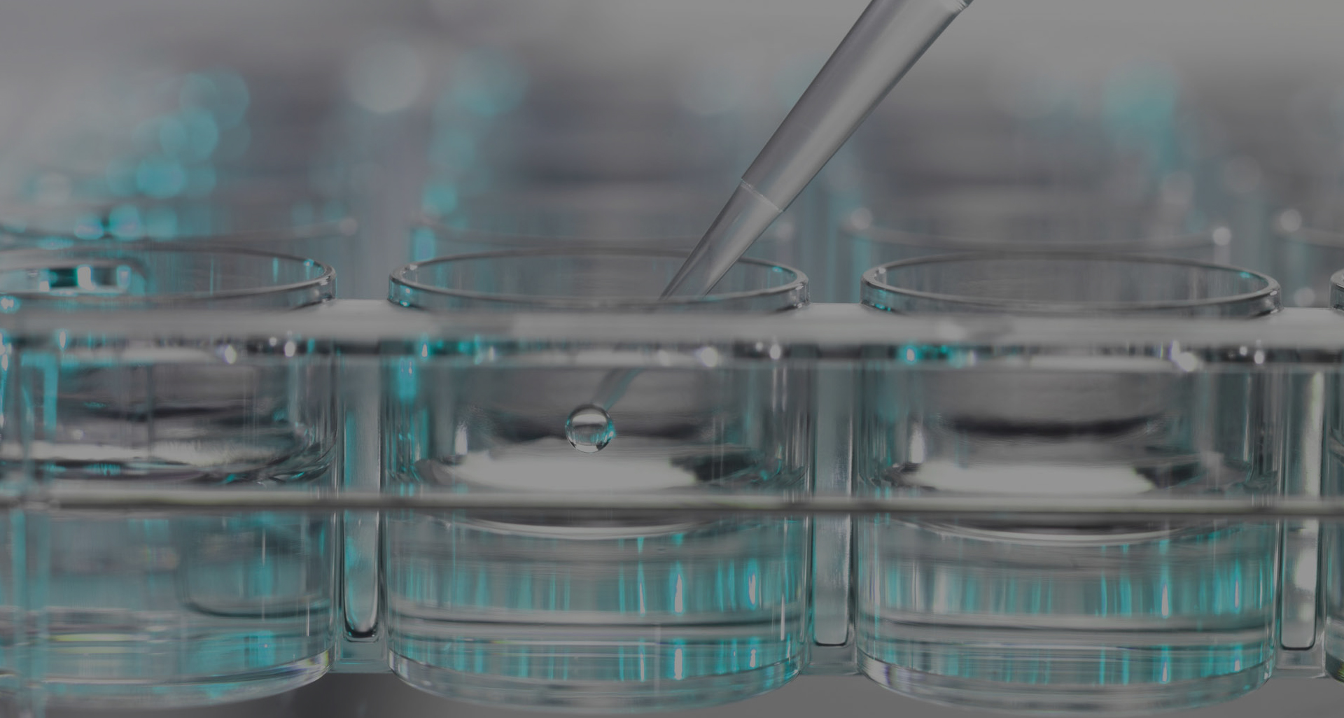 宁波磊邦新材料科技有限公司